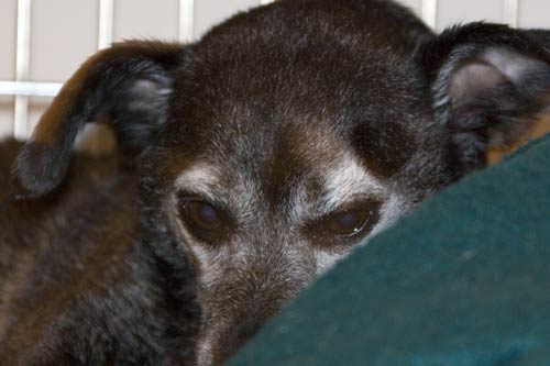 I hate to admit it but it made me feel better afterward.