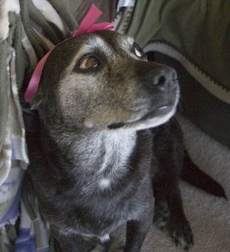 I thought wearing a pretty ribbon would distract people from looking at my sore eye.