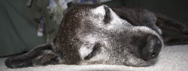 I'm real tired after this long week!