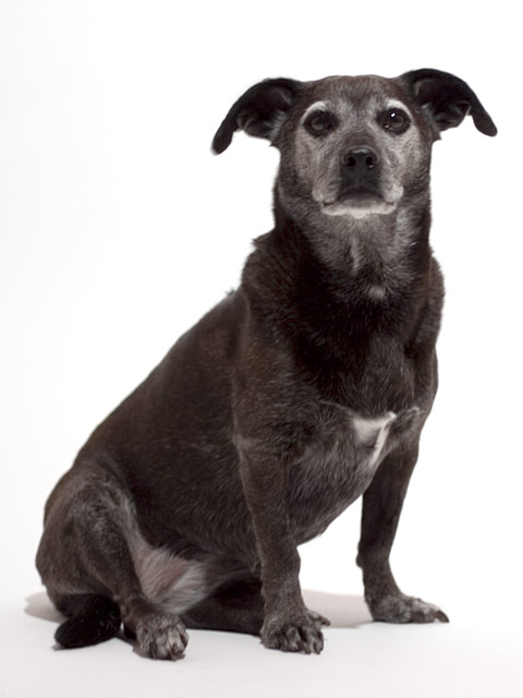 I could have been a model.