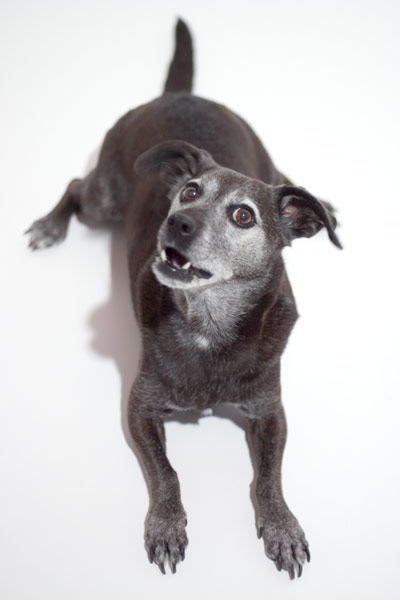 And I'm willing to help as long as he has a handful of those tasty, tasty treats.