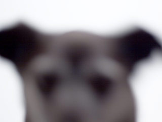 He could stand to get a little more practice.