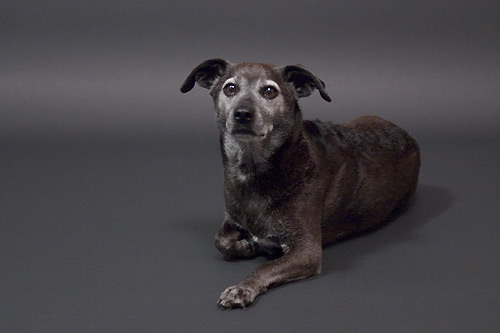 Little Bit with basic black.