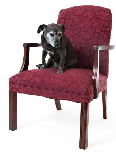 The life of a supermodel is tough.  I never get as much to eat as I'd like in order to maintain my glamorous figure