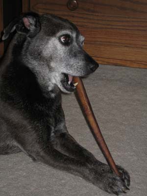 Rawhide is great.  Somked rawhide is super stupendous!