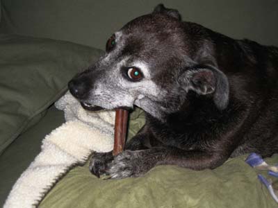 Yeah Baby!  Smoked Rawhide!  Mmmm, rawhide.....