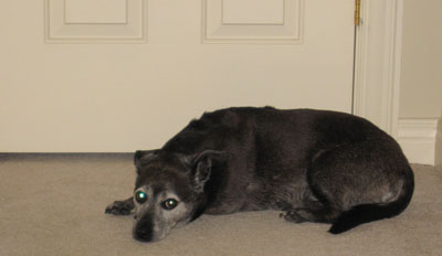 You can see I'm amused.