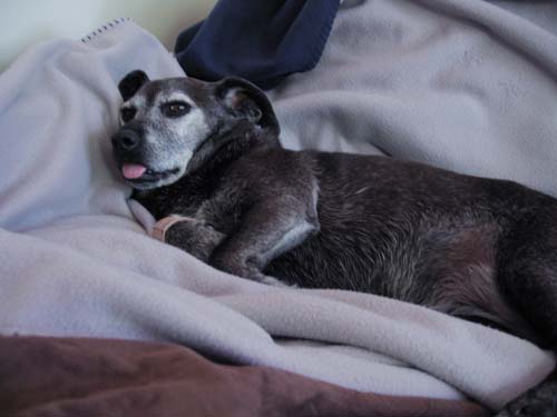 I'm feeling better now.