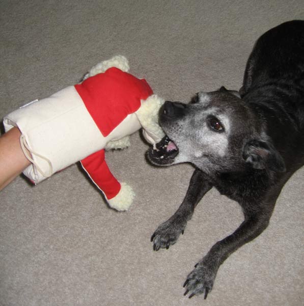 I wish it was steak flavored.