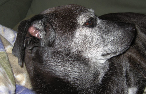 No that isn't a doughnut stuck in my throat.