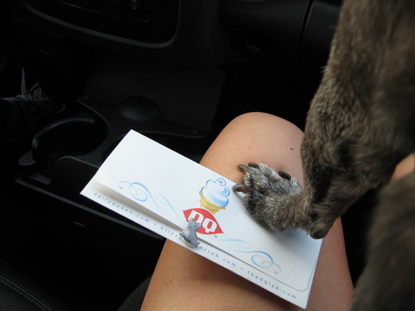 Got the certificates.