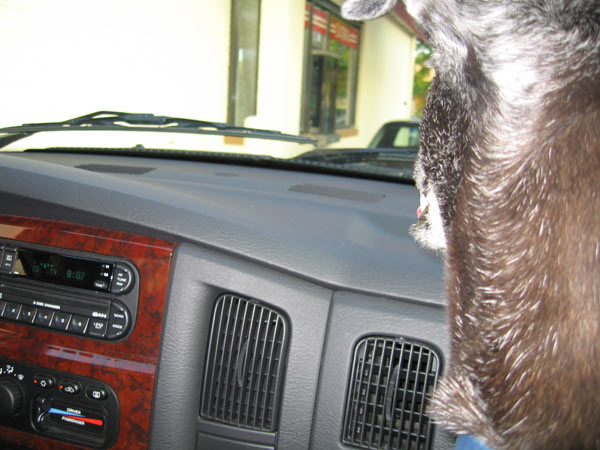 Let's go buddy.  I'm in a hurry.