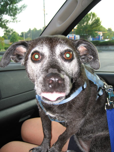 Do you think they will get my order right?