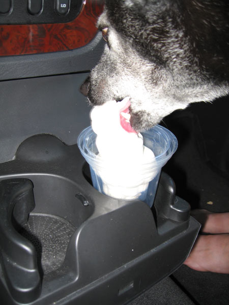 Ahhh... creamy goodness!