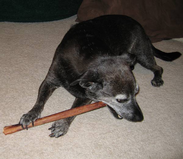 Mmm, rawhide.  Thank you Skye!!!