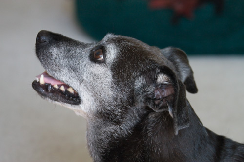 I'm feeling better today.