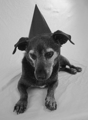 I can see that you are holding out boss man!