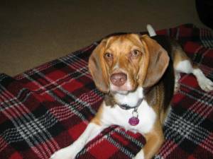 Thank you Basil and Barbara!