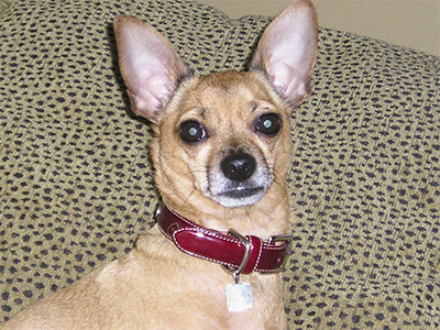 Seth is back in the news.