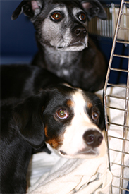 I'm right behind you, Mr Loo.