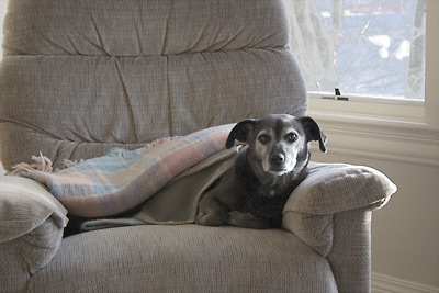 I was feeling puny back then.