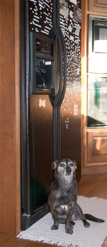 Daydreaming that the refrigerator will open