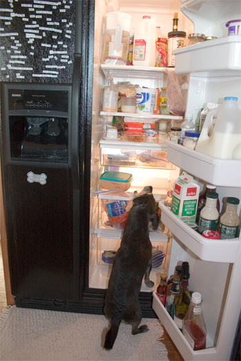 I guess I'll settle for a carrot