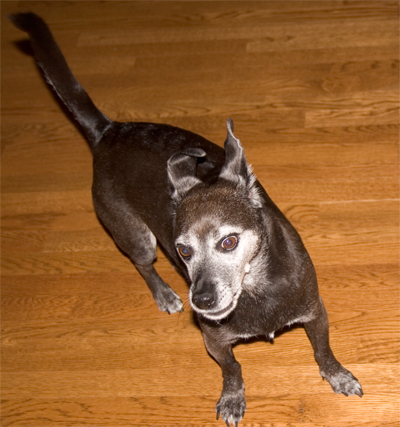 It's okay to look a little crazy if you are having fun!