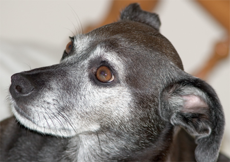 Even angles have their dark side.