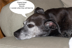 Maybe tonight will be rawhide night?!?