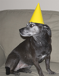 Still looking for my piece of cake.