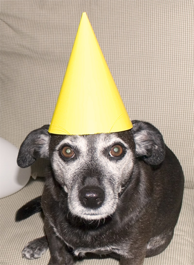 There had better be cake!