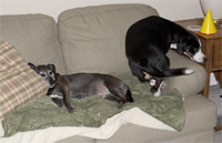 Almost there Mr. Loo.