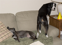 You just should have parked it after your last approach.