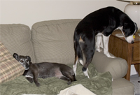 I guess you will have to try again tomorrow.