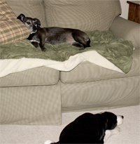 Don't worry, your whining doesn't bother my relaxing at all.