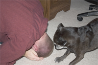 Pounce next to them as a display of force.