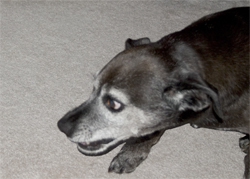 First tell them to Back Off!