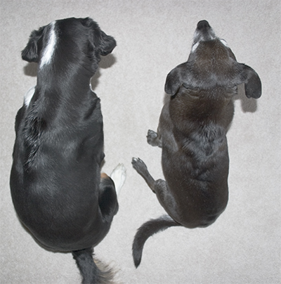 Making us sit in the corner like we were a couple of puppies.