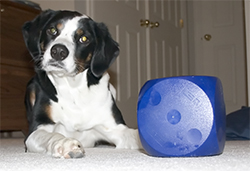 He said "If I can't have it, no one will have it"