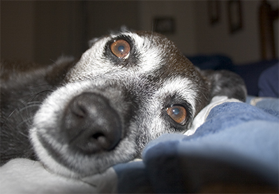 Sometimes life weighs me down.