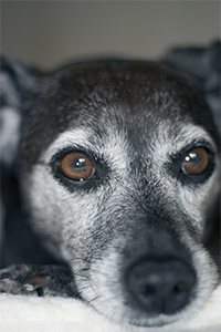 It is hard to be an in demand fashion model