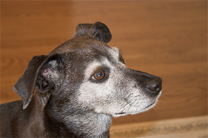 I was watching her every move.