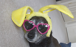 Easter makes me happy.  No really.