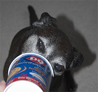 Mmmm, Chocolate Xtreme!