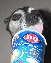 A bit of ice cream will help if it is too hot.  Hint, hint boss man.