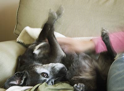 Yeah, that's the spot.