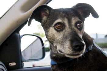 It's been a long time since I've been in the truck...