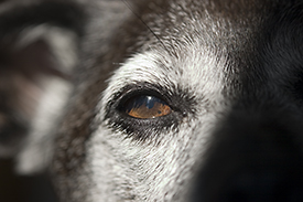 Why does he take pictures like this?