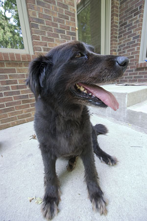 Fur and bones, really.